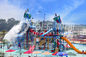 Interactive Aqua Playground Water Slide Equipment Fun Theme Park