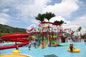 Family Commercial Aqua Playground Fiberglass with Water Park Slides / Customized Water Park Equipemnt