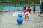 Spray Water Game For Kids , Cartoon Style Fiberglass Aqua Park Equipment For Sale