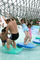 Aqua Park Equipment Water Pool Aqua Play Fiberglass Lemna Minor For Family Play Fun