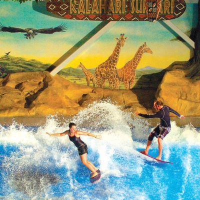 OEM Flowrider Surfing Simulator with 65kw Water Pump and Soft Strong PVC for Water Parks 15.3m*9.3m