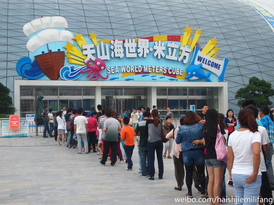 Indoor Aqua Entertainment Park Equipment , Amusement Park Project Design And Construction