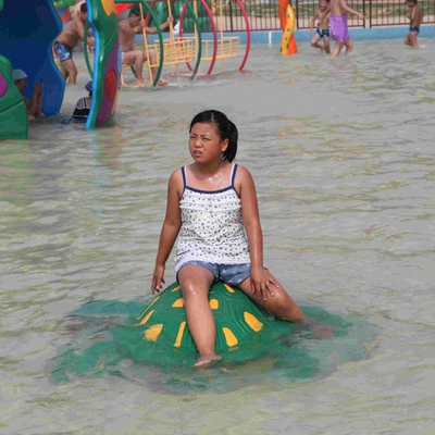 Custom Water turtle Aqua Play Water Playground, Spray Park Equipment for Water Park
