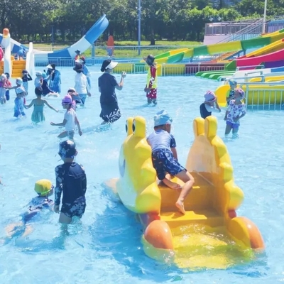 Butterfly Water Park Feasibility Study Aqua Playground for Kids Water Game Equipment  Water Splashing