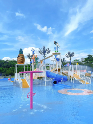 Elephant Water Park Feasibility Study Aqua Playground for Kids Water Game Equipment for Water Splashing