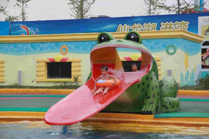 Frog Shape Water Pool Slides, Aqua Park Fiberglass Small Slide For Kids